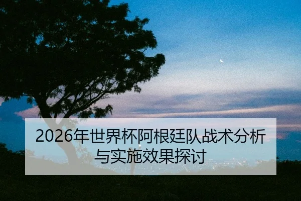 nian-shi-jie-bei-a-gen-ting-dui-zhan-shu-fen-xi-yu-shi-shi-xiao-guo-tan-tao-2-595.jpg