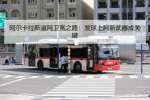 a-er-ka-la-si-wen-wang-wei-mian-zhi-lu-fa-qiu-shang-wang-xin-wu-qi-cheng-guan-jian-3-290.jpg
